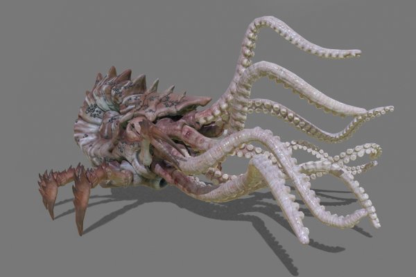 Kraken ссылка тг