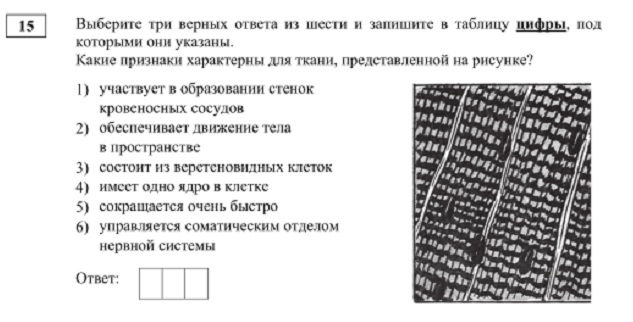 Kraken что это за сайт